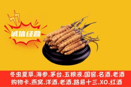 鼓楼区回收冬虫夏草
